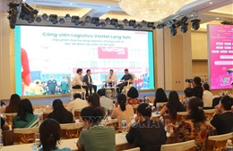 Thúc đẩy giải pháp công nghệ và phát triển thương mại điện tử
