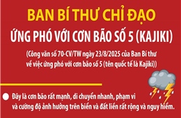 Ban Bí thư chỉ đạo ứng phó với cơn bão số 5 (Kajiki)