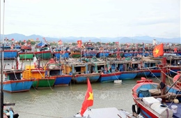 Ứng phó với bão số 5: Kiểm tra, hỗ trợ di dời dân đến nơi an toàn