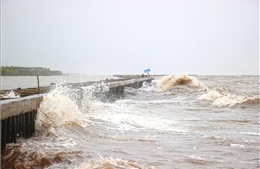 &#39;Lá chắn&#39; giữ đất, giữ rừng, gây dựng an cư
