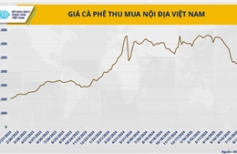 Cà phê thế giới khan hiếm, Việt Nam có phá vỡ kịch bản ‘được mùa mất giá’?