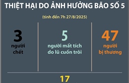 Thiệt hại do ảnh hưởng bão số 5