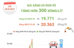 Giá xăng E5 RON 92 tăng hơn 300 đồng/lít