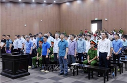 Vụ Tập đoàn Thuận An: 120 tỷ đồng thiệt hại trong vụ án được bồi thường, khắc phục gần hết