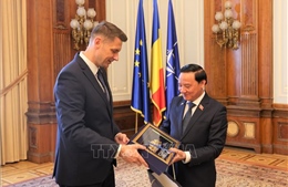 Thúc đẩy quan hệ hữu nghị truyền thống và hợp tác tốt đẹp giữa Việt Nam và Romania