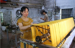 Sức sống mới tại làng nghề ươm tơ Cổ Chất