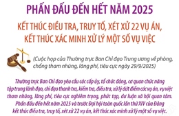 Kết thúc điều tra, truy tố, xét xử 22 vụ án, kết thúc xác minh xử lý một số vụ việc