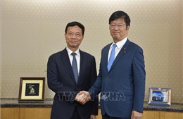 Việt Nam và Nhật Bản thúc đẩy hợp tác khoa học - công nghệ và bán dẫn