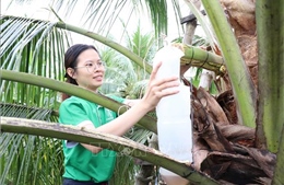 Phụ nữ Đồng bằng sông Cửu Long khởi nghiệp thích ứng biến đổi khí hậu - Bài 2: Cơ hội từ thách thức