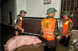 Bắc Ninh: Huy động hàng trăm cán bộ, chiến sĩ khắc phục sự cố vỡ đê bối Tiên Lục