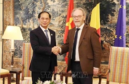 Việt Nam - Bỉ - EU chung tay vì phát triển xanh và bền vững