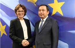 Việt Nam tăng cường hợp tác với EU và Bỉ về môi trường, phát triển bền vững