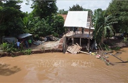 Đồng Tháp công bố tình huống khẩn cấp sạt lở bờ sông Tiền