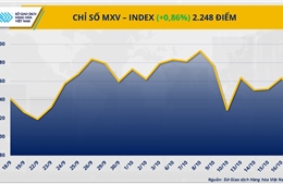 Thị trường hàng hóa đảo chiều khởi sắc, MXV-Index tiệm cận 2.250 điểm