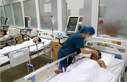 Sáu người nhập viện trong tình trạng nguy kịch do ngộ độc rượu ngâm rễ cây