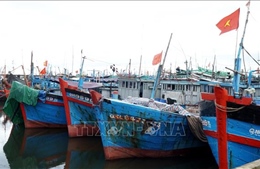 Quảng Ngãi: Kêu gọi, hướng dẫn hơn 760 tàu thuyền di chuyển tránh trú bão số 12