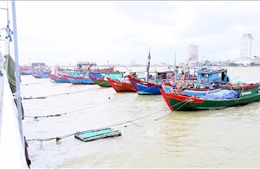 Giảm thiểu thiệt hại về người và tài sản trong bão số 12