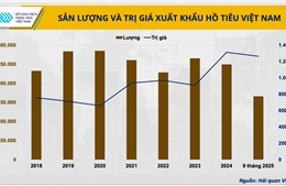 Cơn sốt giá hồ tiêu và ‘mặt bằng mới’ nào cho những tháng cuối năm