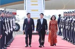 Chủ tịch nước Lương Cường đến Hàn Quốc, bắt đầu tham dự Tuần lễ Cấp cao APEC 2025