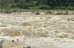 Quảng Ngãi cứu sống hai người bị nước lũ cuốn trôi