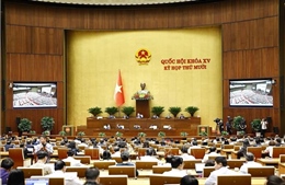 Cử tri mong Chính phủ tiếp tục quan tâm tới chính sách đào tạo nghề, phát triển nông nghiệp