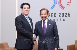 Phát triển hơn nữa quan hệ thực chất Việt Nam - Brunei