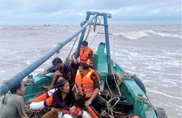 Kịp thời cứu 2 thuyền viên bị chìm tàu trên biển