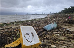 Đà Nẵng tổng lực làm sạch tuyến ven biển