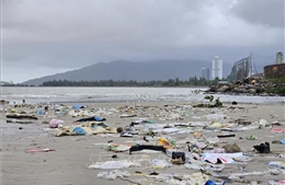 Rác thải &#39;bủa vây&#39; bờ biển Nguyễn Tất Thành (Đà Nẵng) sau mưa lũ