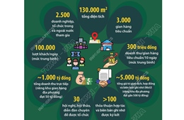 Những con số ấn tượng tại Hội chợ Mùa Thu lần thứ I - năm 2025