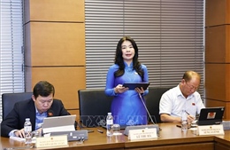 Đề nghị bổ sung nguyên tắc xử lý, thu hồi tài sản tham nhũng không qua thủ tục kết tội