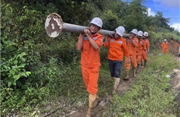 Khẩn trương kiểm tra, gia cố hệ thống lưới điện trước bão số 13