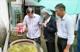 Khuyến cáo người dân nên ngủ màn kể cả ban ngày để phòng tránh sốt xuất huyết