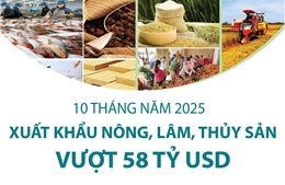 10 tháng năm 2025: Xuất khẩu nông, lâm, thủy sản vượt 58 tỷ USD