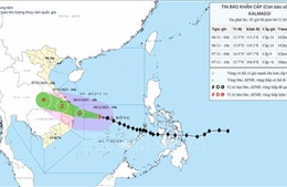 Xã đảo Nhơn Châu gấp rút ứng phó bão số 13