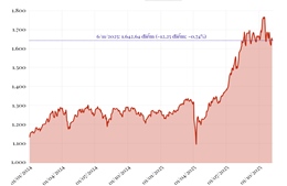 Phiên 6/11/2025: VN-Index giảm 12,25 điểm
