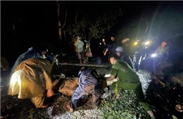 Hàng nghìn hộ dân ở Đắk Lắk vẫn đang mất điện