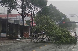 Bão số 13: Lực lượng chức năng Đắk Lắk khẩn trương khắc phục hậu quả trong đêm