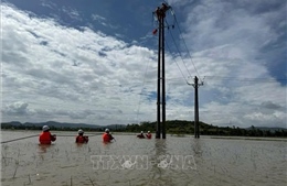 Gia Lai khôi phục cấp điện lại cho 90% khách hàng vùng tâm bão