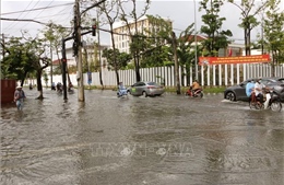Cà Mau triều cường vượt kỷ lục, gây khó khăn sinh hoạt người dân