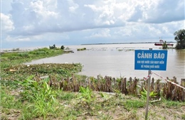 Vĩnh Long: Bố trí vốn xây dựng khẩn cấp công trình khắc phục sạt lở bờ biển