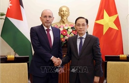 Thúc đẩy hợp tác ngoại giao giữa Việt Nam và Jordan trên mọi lĩnh vực
