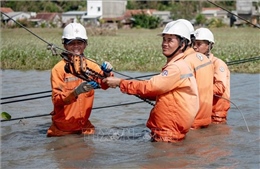 Điện lực miền Trung khôi phục gần 100% điện sau bão số 13