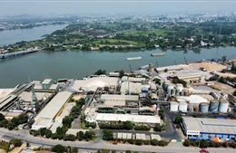 Đồng Nai: Tháo gỡ vướng mắc để kịp khởi công 3 khu công nghiệp lớn vào ngày 19/12