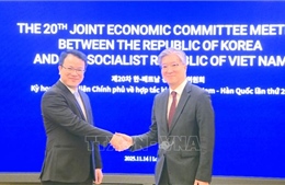 Việt Nam và Hàn Quốc tìm kiếm giải pháp thúc đẩy hợp tác toàn diện