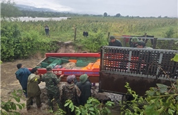 Quân đội chủ động ứng phó mưa lũ tại Trung Bộ