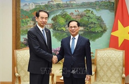 Phó Thủ tướng Bùi Thanh Sơn tiếp Đại sứ Trung Quốc Hà Vĩ