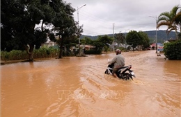Lãnh đạo tỉnh Lâm Đồng chỉ đạo nhiều giải pháp ứng phó thiên tai