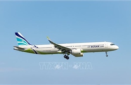 Hãng hàng không Hàn Quốc nối lại đường bay Busan – Hà Nội