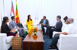 55 năm quan hệ Việt Nam - Sri Lanka: Tăng cường kết nối cấp địa phương